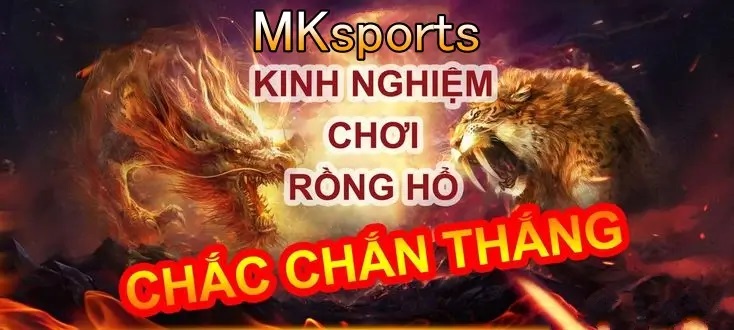 Học hỏi nhiều kinh nghiệm để chơi game Rồng hổ chắc thắng