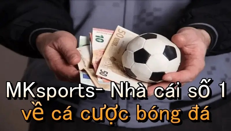 MKsports không bao giờ đưa ra bẫy nhà cái